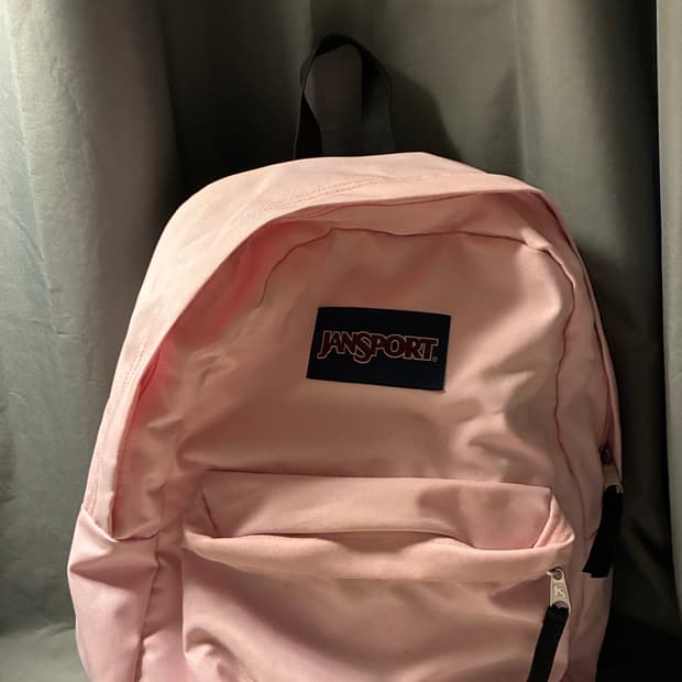 잔스포츠 슈퍼브레이크 백팩 핑크