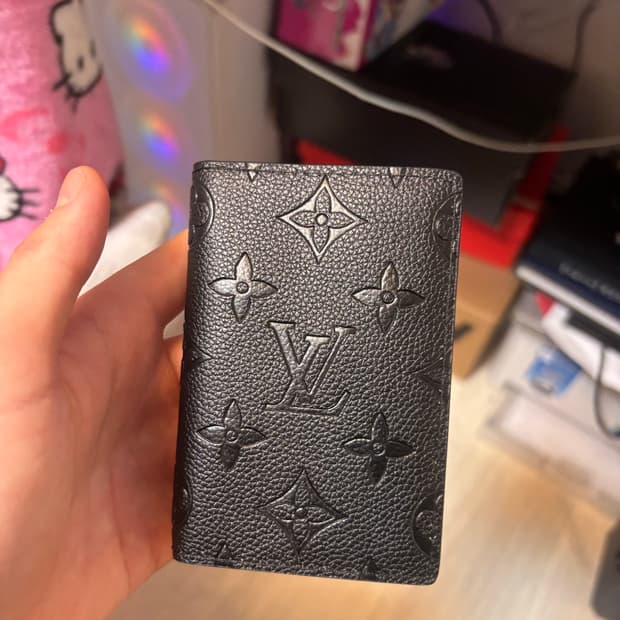 루이비통 오거이저 