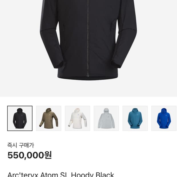 [L]아크테릭스 아톰 sl 블랙