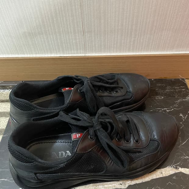 프라다 아메리카컵 6.5