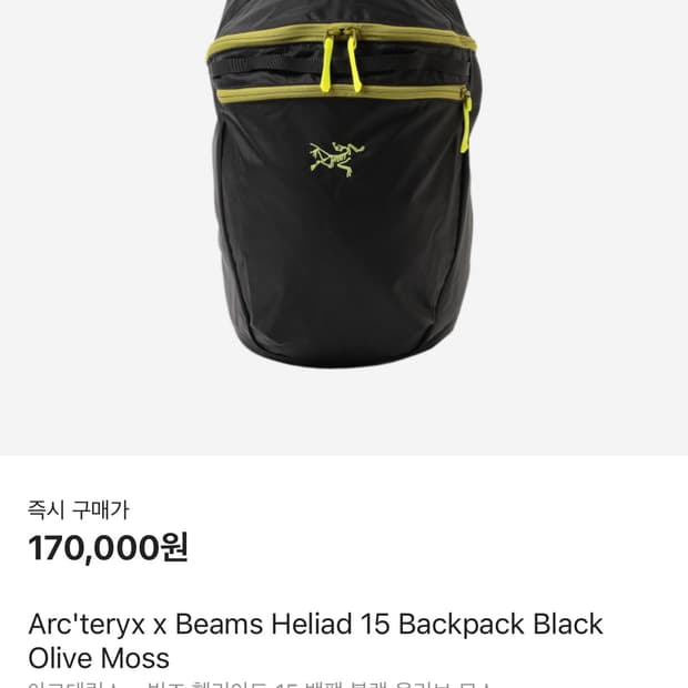 아크테릭스 빔즈 헬리아드 가방