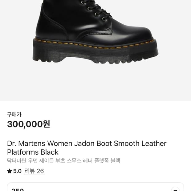 닥터마틴 우먼 제이든 부츠 블랙 250