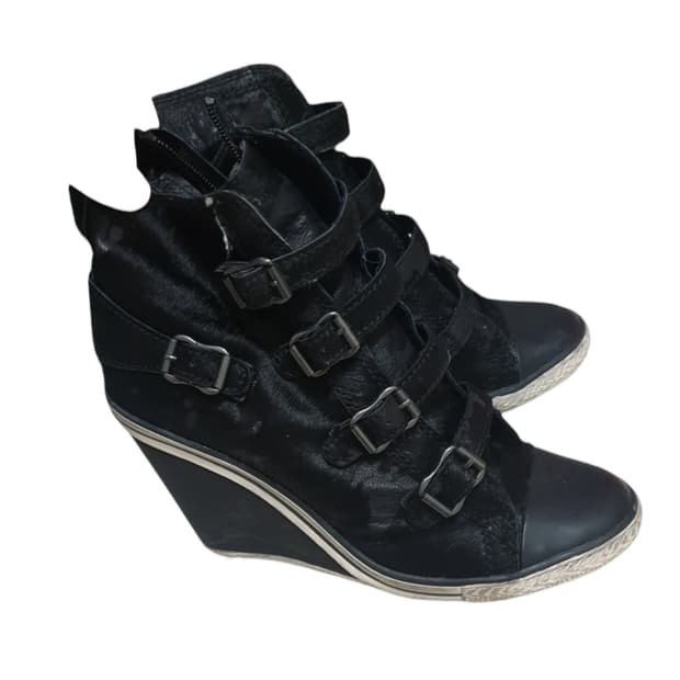 Ash 하이탑 스니커즈 (송치) 38