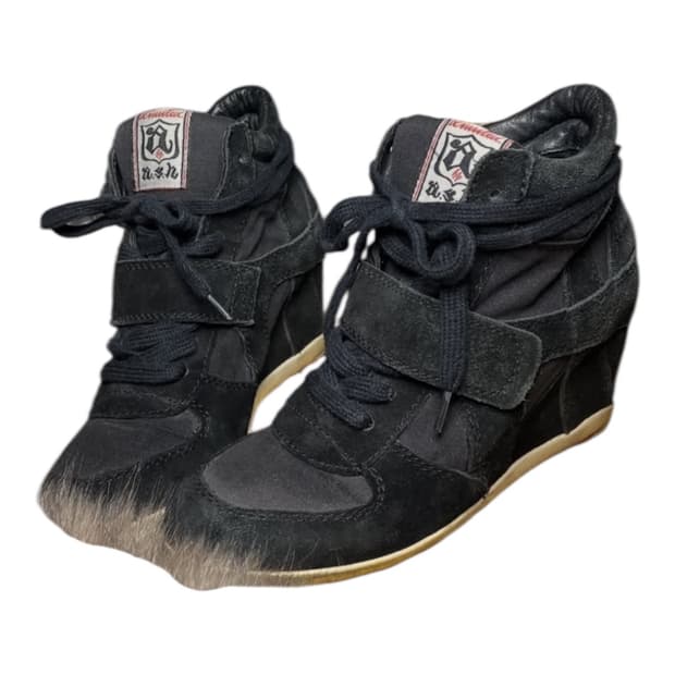 Ash 보위 스니커즈 36(신발 앞코 털 신경X)