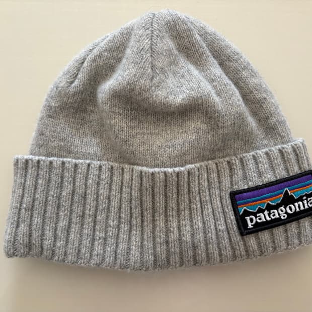 파타고니아 비니