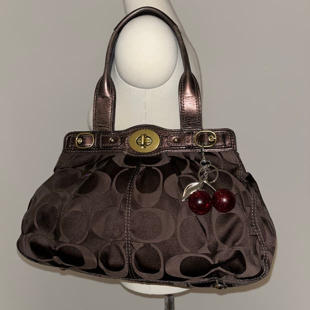 🎉BLACK FRIDAY🎉 Coach brown bag