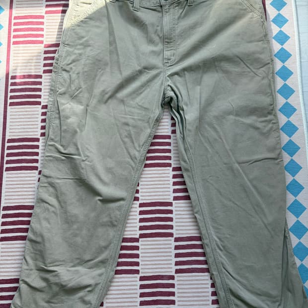 칼하트 카펜더 팬츠