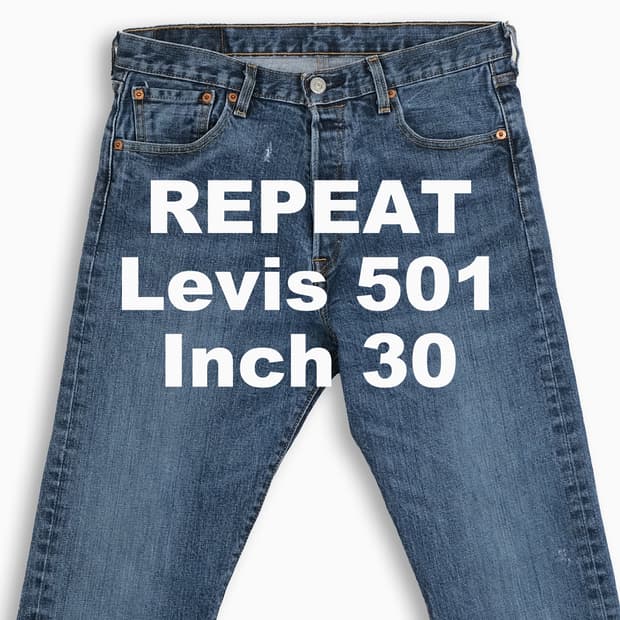 빈티지 리바이스 501 진청 30 인치 LV50130238