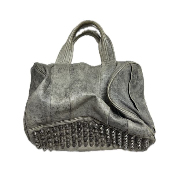 Alexander wang bag