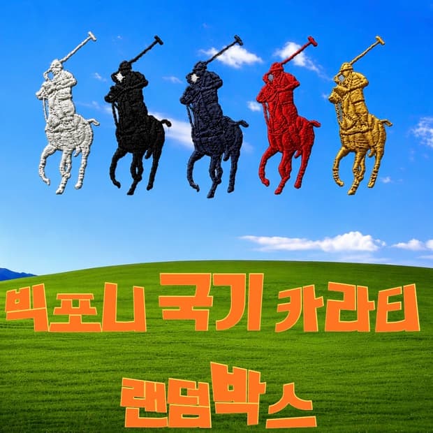 폴로 빅포니 국기 카라티 랜덤박스