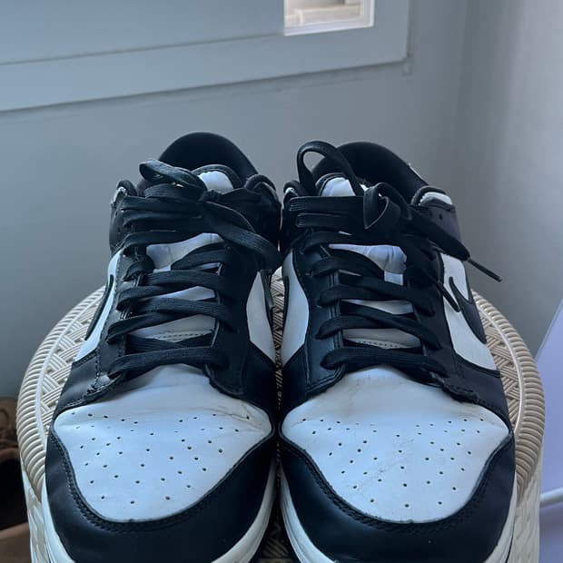 나이키 범고래 덩크 300