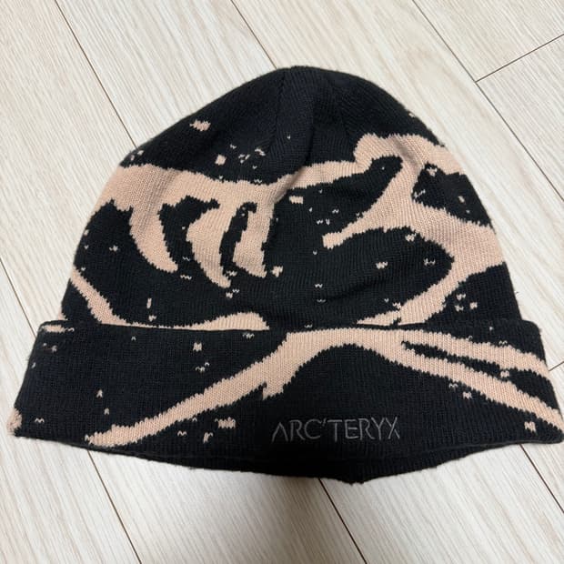 아크테릭스 비니