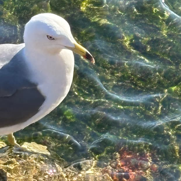 dddd*****님 개인결제창입니다.