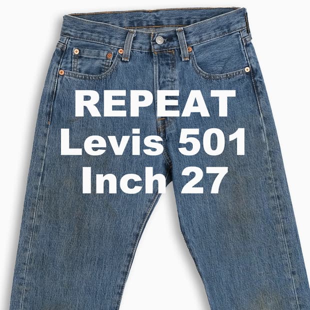 빈티지 리바이스 501 중청 27 인치 LV5012869