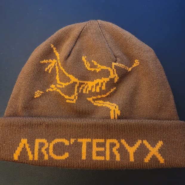 23FW 아크테릭스 울 버드 워드 토크 비니