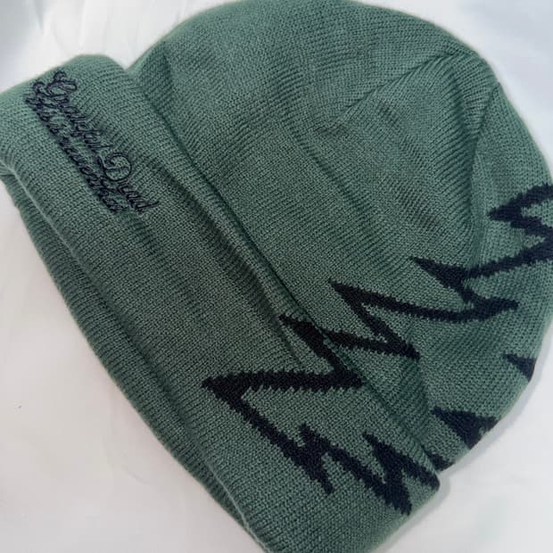 디스이즈네버댓 비니