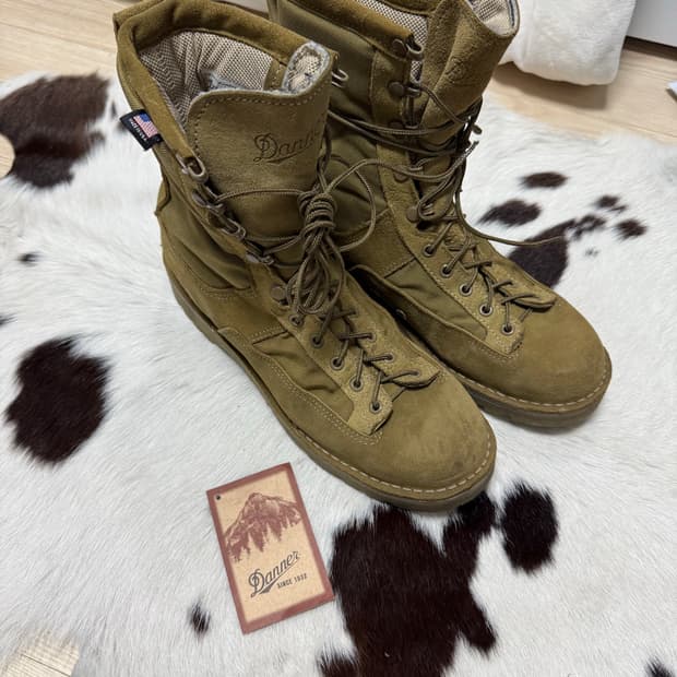 대너 미군 사막화 