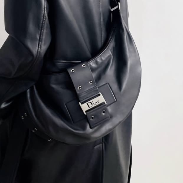 디올 스트릿시크 호보백