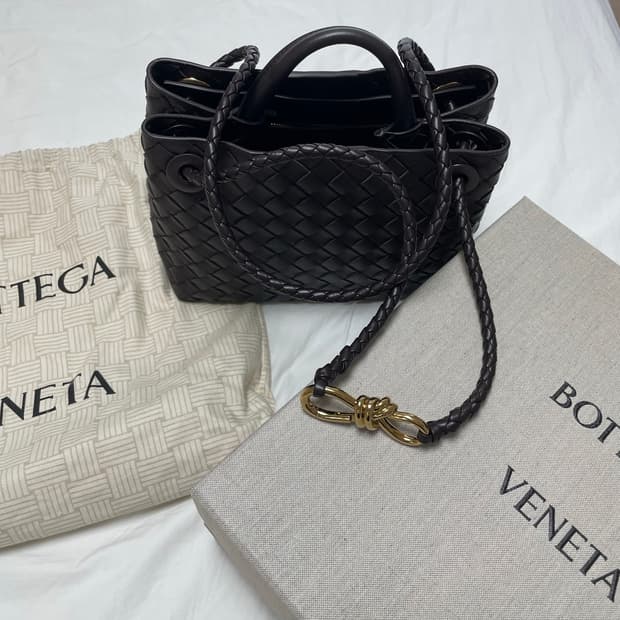 보테가베네타 안디아모 폰탄테 스몰