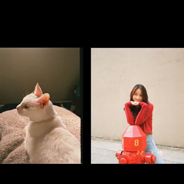 필름카메라 캐논 오토보이 텔레6 (작례 0)