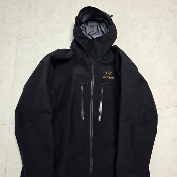 아크테릭스 알파SV 블랙(L)팝니다