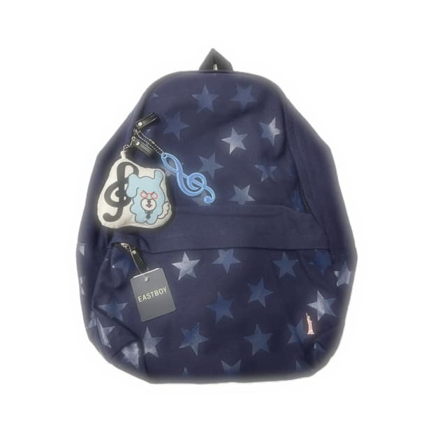 이스트보이 스타 백팩 ⭐️