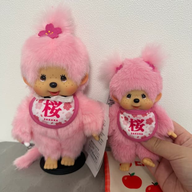 몬치치 6월사쿠라 신상