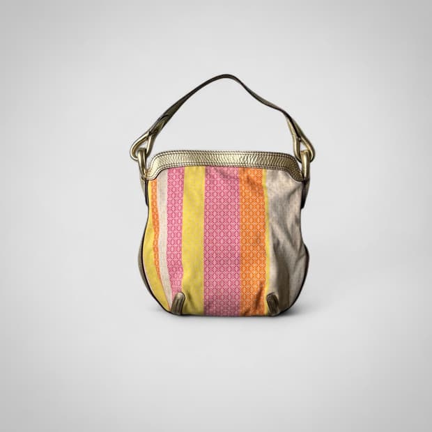 Loewe bag