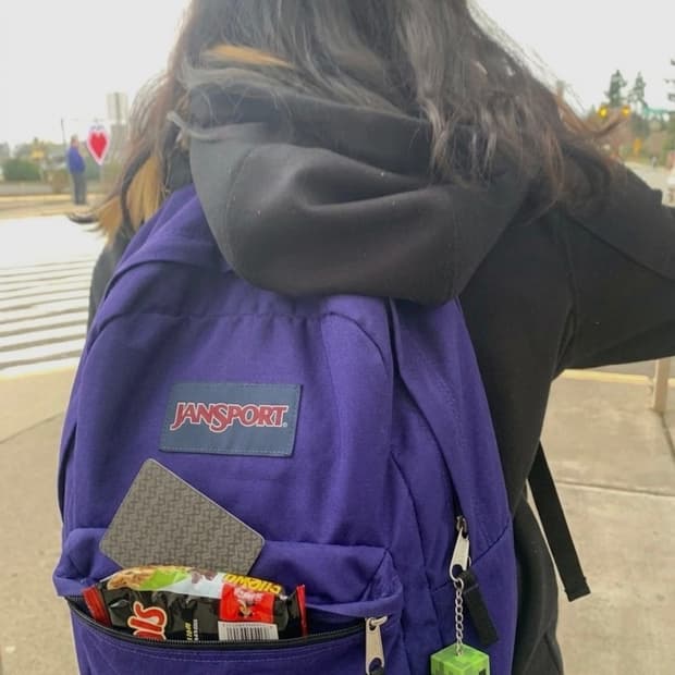 Vintage Jansport Backpack purple