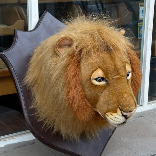 빈티지 소품 한사토이 Lion Head 헌팅트로피 