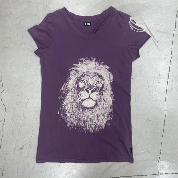 2000s lgb lion t
