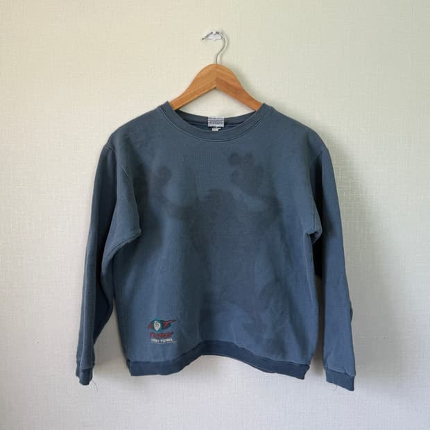 90s looney tunes taz sweatshirt 테즈 루니툰즈