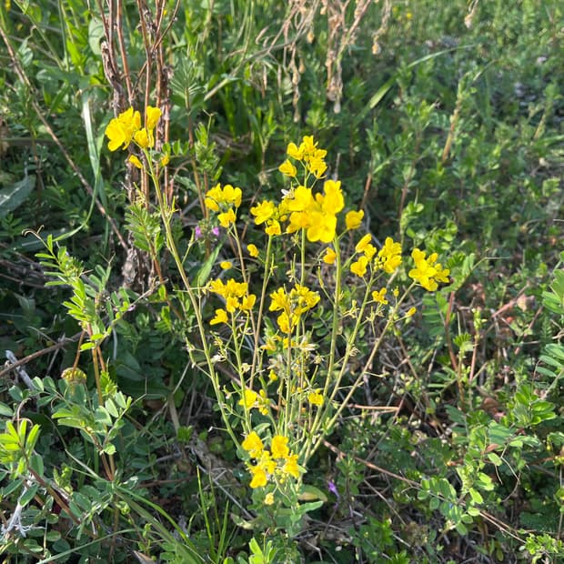 hangle님 개인결제