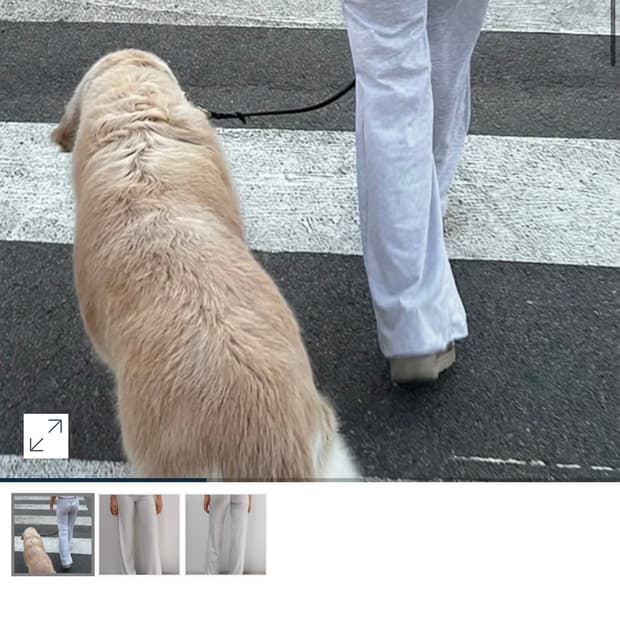 텍ㅇ) subdued 섭듀드 윙즈 날개달린 커브스팬츠 M 그레이