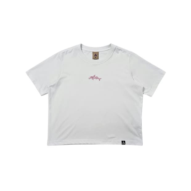 나이키 ACG 반팔티