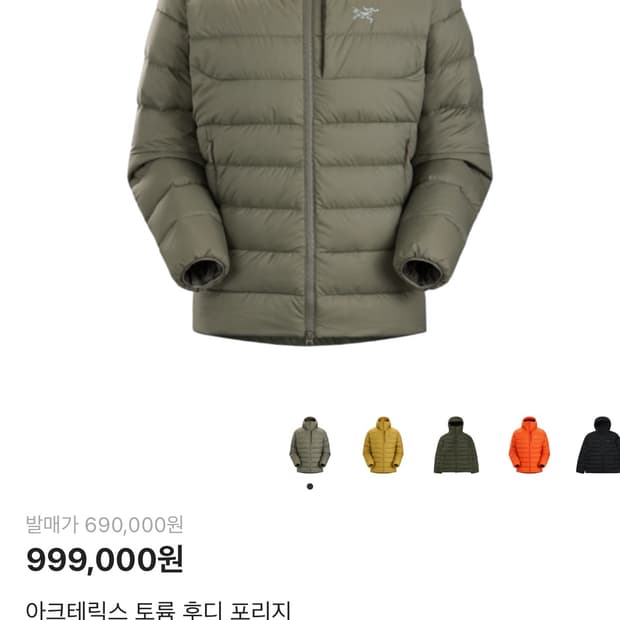 아크테릭스 토륨 포리지색상