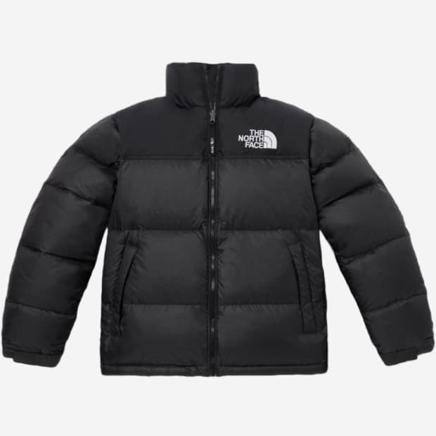 노스페이스 패딩 1996 에코 눕시 XS