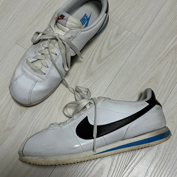 나이키 코르테즈 270