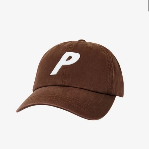palace P 6-panel brown