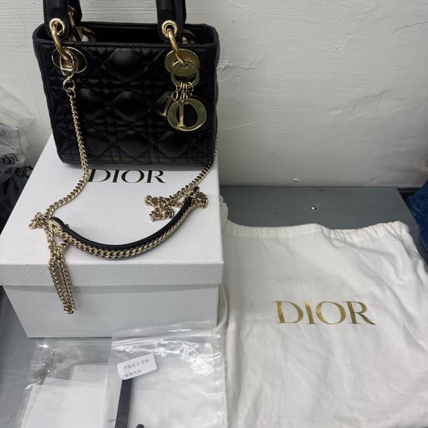 디올 레이디백 미니 블랙