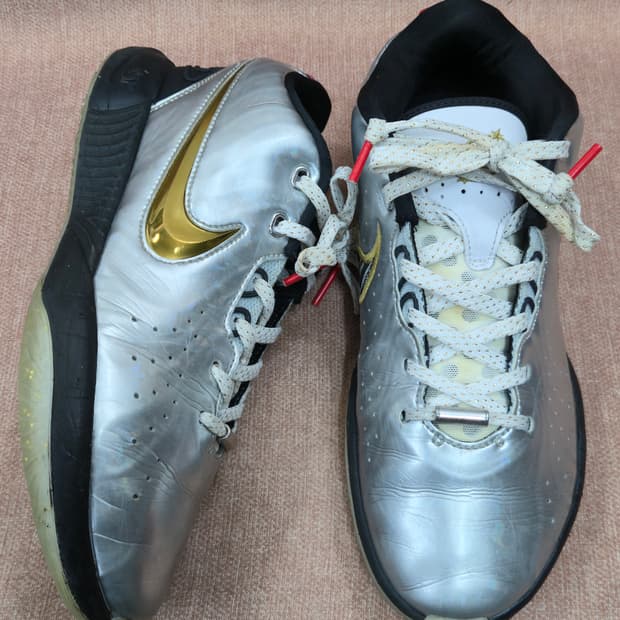 나이키 250mm- 르브론 21 SE GS 메탈릭 실버 메탈릭 골드