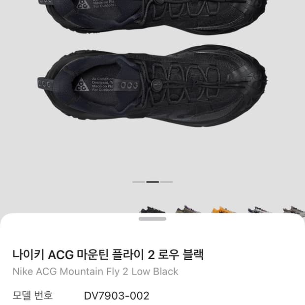 (260) 나이키 ACG 마운틴 플라이 2 로우 블랙