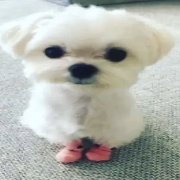 ♥︎ 결제폼입니다 ♥︎