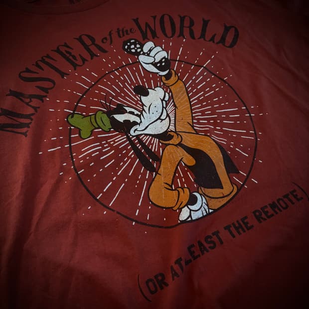Disney Store Goofy Tee – Master of the W