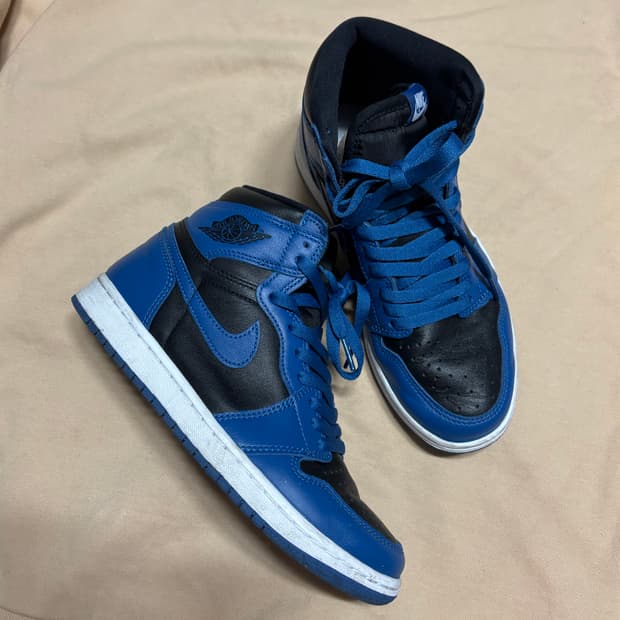 나이키 레트로 하이 250