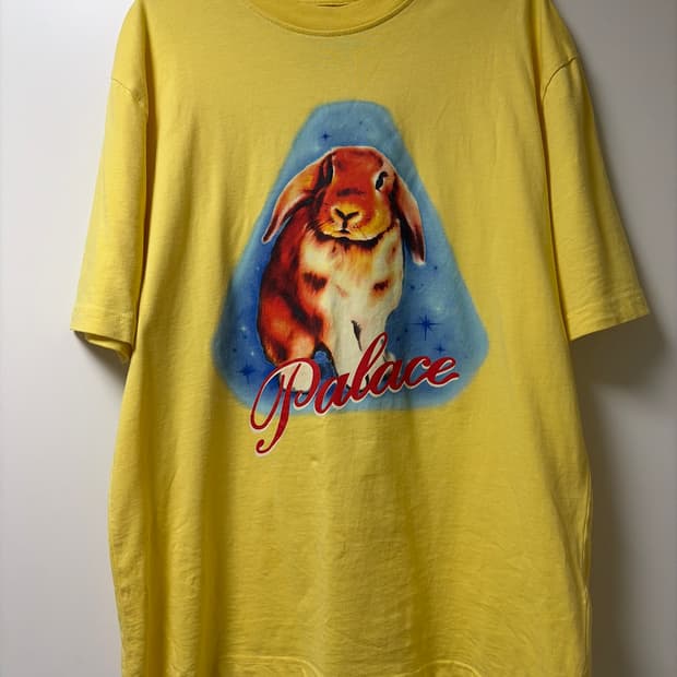 Palace t shirt