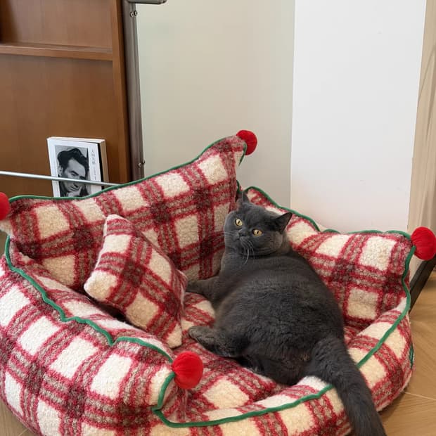 강아지 고양이 대형 부클소재 침대 세트 (솜 분리가능)