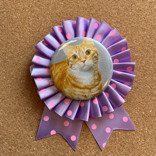 치즈냥이 로제트 키링 😽