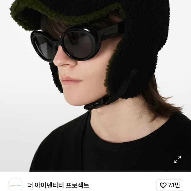 더 아이덴티티 프로젝트