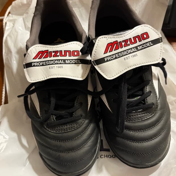 미즈노 풋살화 255